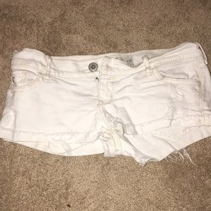 Distressed White Hollister Shorts